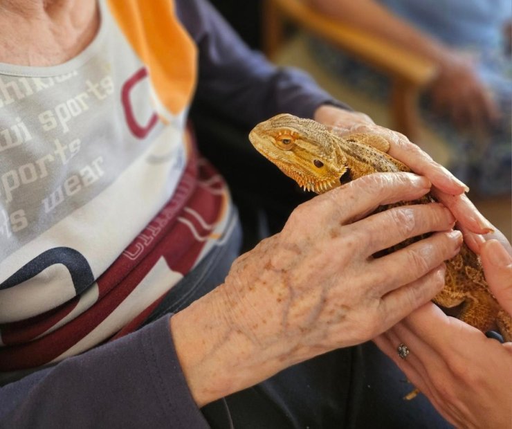 Barking Hall Nursing Home Home | Care Home in Barking