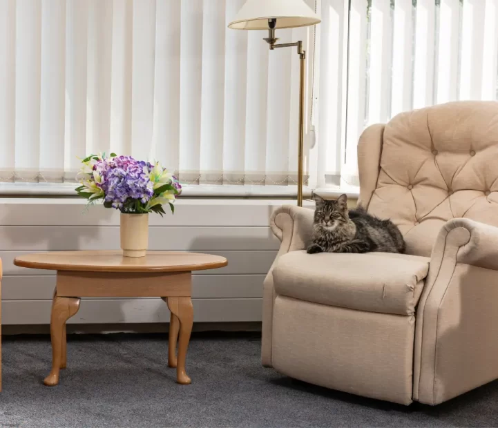 Care Home Havant | Bedhampton Court