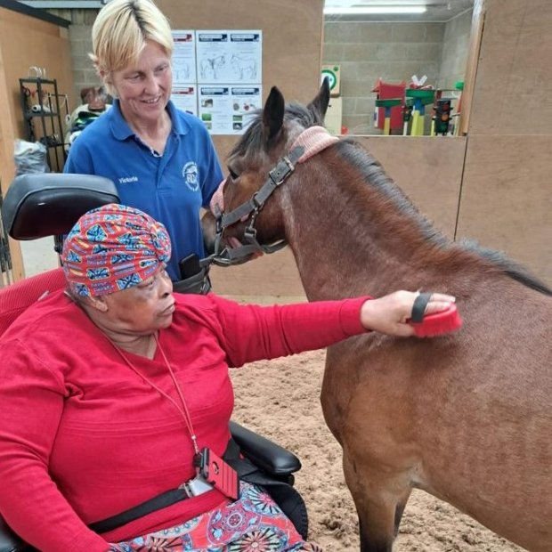 Haughgate House's resident and carer interactiong with pony