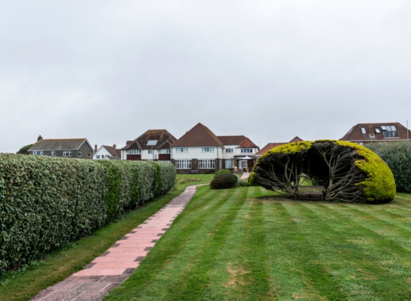 Tenchley Manor's garden