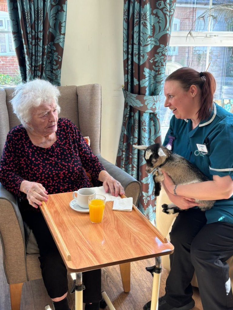 Resident bottle-feeding a pygmy goat with staff support during animal visit at Barking Hall Nursing Home